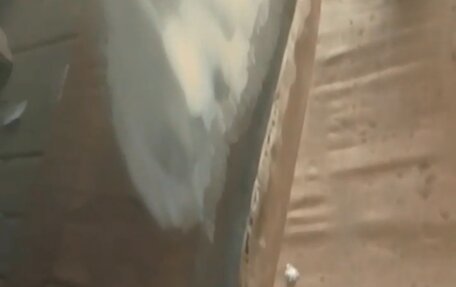 Vortex Tingo I, 2010 год, 220 000 рублей, 2 фотография