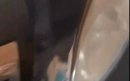 Vortex Tingo I, 2010 год, 220 000 рублей, 4 фотография