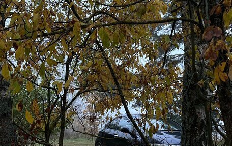 Honda Civic VIII, 2007 год, 420 000 рублей, 9 фотография