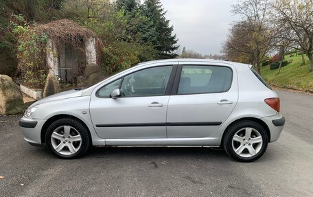 Peugeot 307 I, 2003 год, 299 000 рублей, 4 фотография