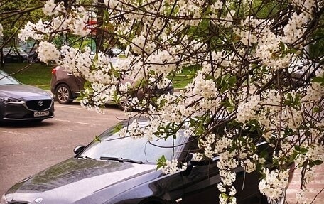 BMW 3 серия, 2007 год, 1 400 000 рублей, 10 фотография