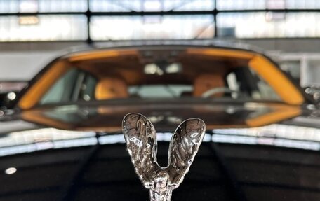 Rolls-Royce Phantom VIII, 2025 год, 94 500 000 рублей, 22 фотография