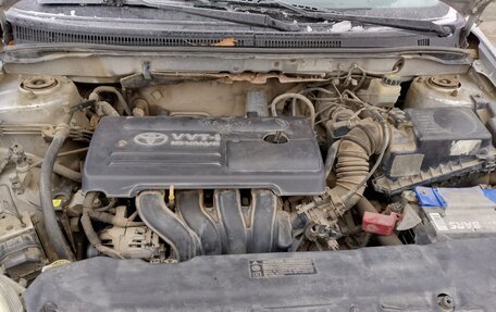 Toyota Corolla, 2003 год, 350 000 рублей, 5 фотография