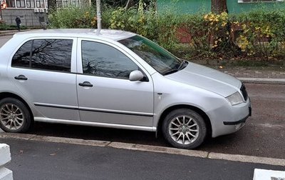 Skoda Fabia I, 2002 год, 357 000 рублей, 1 фотография