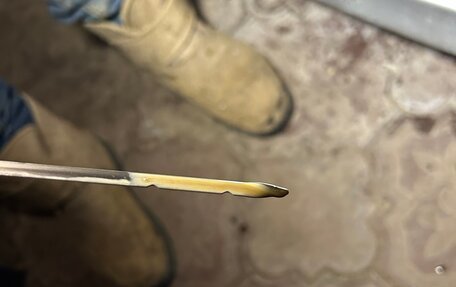 Mitsubishi Space Star I рестайлинг, 2002 год, 75 000 рублей, 15 фотография