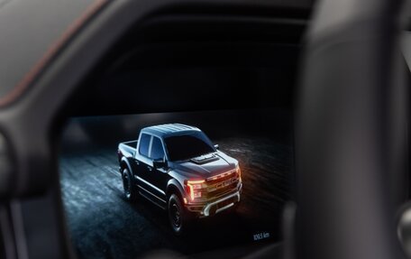 Ford F-150, 2025 год, 14 490 000 рублей, 20 фотография