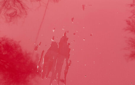 Toyota Corolla, 2004 год, 505 000 рублей, 8 фотография