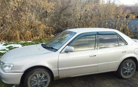 Toyota Corolla, 1998 год, 310 000 рублей, 1 фотография