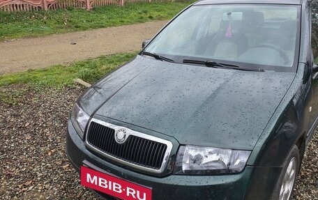 Skoda Fabia I, 2001 год, 250 000 рублей, 2 фотография