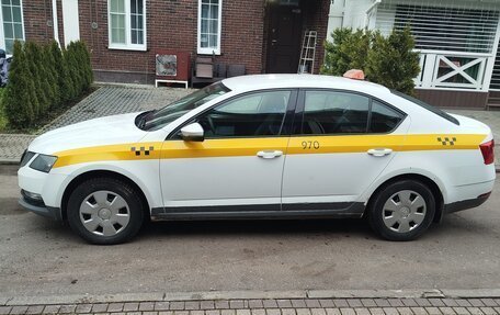 Skoda Octavia, 2020 год, 1 500 000 рублей, 3 фотография