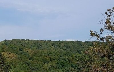 Hyundai Sonata VIII, 2020 год, 2 100 000 рублей, 1 фотография