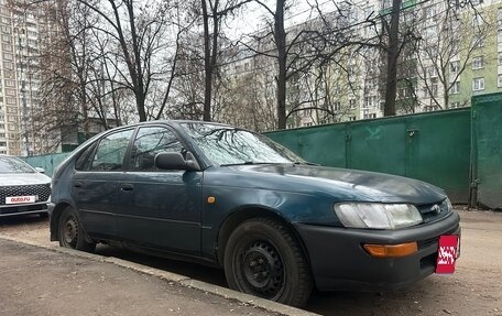 Toyota Corolla, 1994 год, 95 000 рублей, 6 фотография