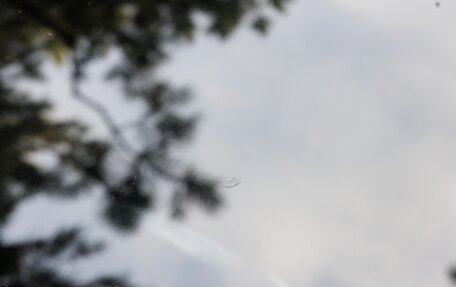 KIA Rio IV, 2019 год, 1 600 000 рублей, 14 фотография