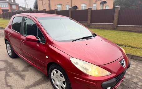 Peugeot 307 I, 2006 год, 335 000 рублей, 5 фотография