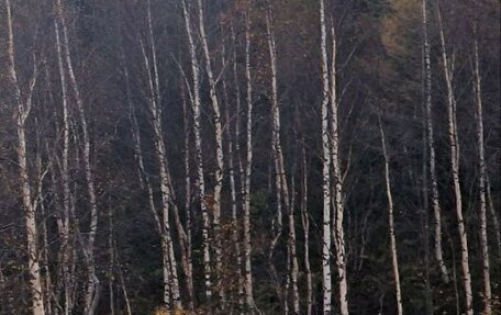 Hyundai Elantra V, 2012 год, 1 200 000 рублей, 2 фотография