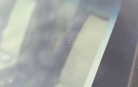 Hyundai ix35 I рестайлинг, 2014 год, 1 500 000 рублей, 23 фотография