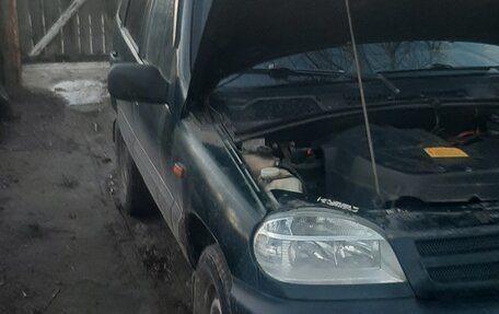 Chevrolet Niva I рестайлинг, 2004 год, 350 000 рублей, 3 фотография