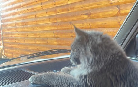 BMW 5 серия, 1984 год, 520 000 рублей, 10 фотография