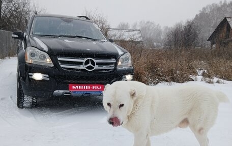 Mercedes-Benz GL-Класс, 2007 год, 1 500 000 рублей, 1 фотография