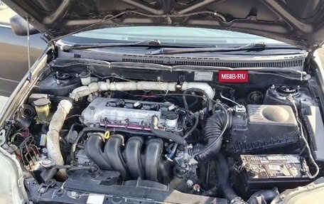 Toyota Corolla, 2002 год, 500 000 рублей, 7 фотография