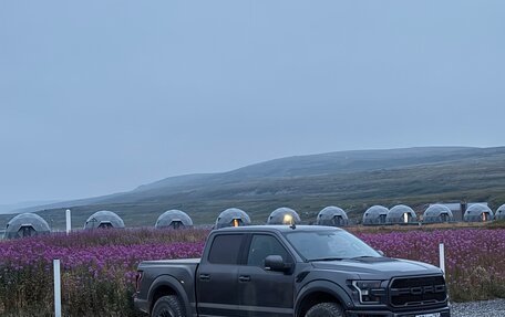 Ford F-150 XIII, 2020 год, 7 200 000 рублей, 6 фотография