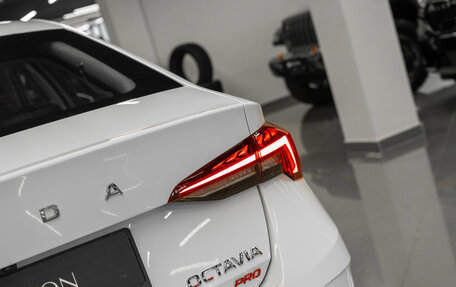 Skoda Octavia IV, 2025 год, 3 550 000 рублей, 25 фотография