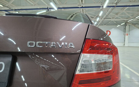 Skoda Octavia, 2020 год, 1 565 000 рублей, 13 фотография