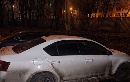 Skoda Octavia, 2019 год, 1 650 000 рублей, 2 фотография