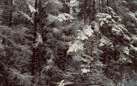 Dodge Challenger III рестайлинг 2, 2010 год, 2 300 000 рублей, 3 фотография