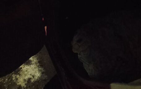 KIA Picanto I, 2007 год, 7 фотография