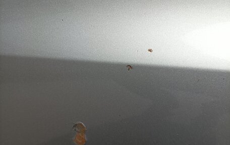 Volkswagen Tiguan I, 2009 год, 750 000 рублей, 12 фотография