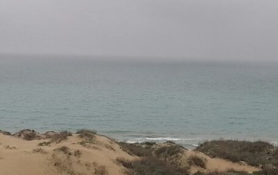 Ford Focus II рестайлинг, 2006 год, 295 000 рублей, 1 фотография