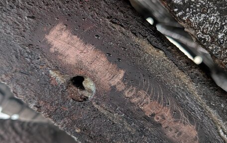 Mitsubishi L200 IV рестайлинг, 2008 год, 940 000 рублей, 7 фотография