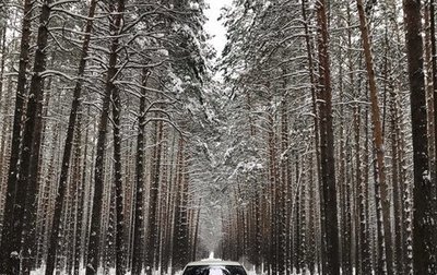 Honda Accord VIII рестайлинг, 2008 год, 800 000 рублей, 1 фотография