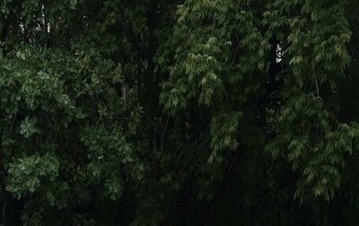 Mazda 3, 2014 год, 1 390 000 рублей, 1 фотография