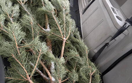 Dodge Caravan V, 2008 год, 980 000 рублей, 28 фотография