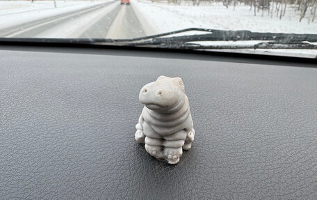 Dodge Caravan V, 2008 год, 980 000 рублей, 26 фотография