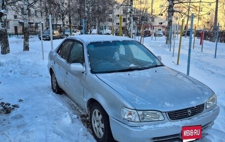 Toyota Corolla, 1999 год, 260 000 рублей, 1 фотография