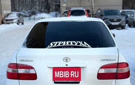 Toyota Corolla, 1999 год, 330 000 рублей, 4 фотография