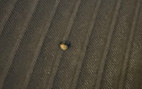 Ford Focus III, 2017 год, 1 270 000 рублей, 24 фотография