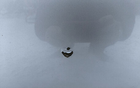 Volvo V70 III рестайлинг, 2008 год, 1 090 000 рублей, 33 фотография