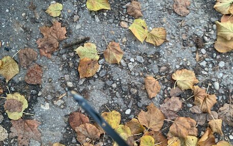 Mazda 3, 2006 год, 620 000 рублей, 30 фотография