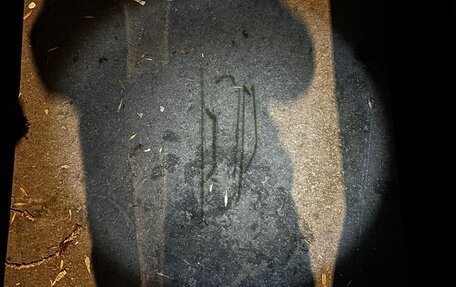 Land Rover Range Rover Evoque I, 2012 год, 1 930 000 рублей, 13 фотография