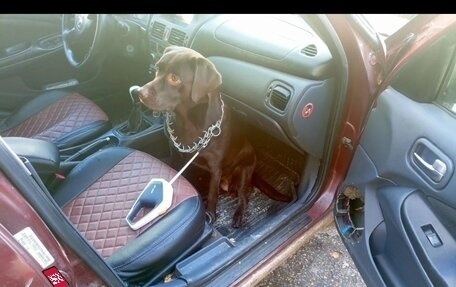 Nissan Almera, 2004 год, 160 000 рублей, 9 фотография