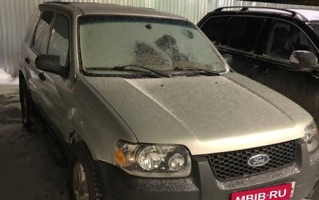 Ford Escape II, 2004 год, 480 000 рублей, 1 фотография