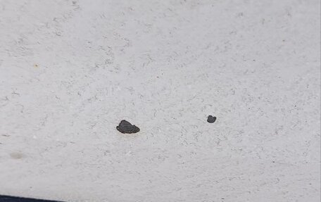 Land Rover Range Rover Evoque I, 2011 год, 1 999 000 рублей, 5 фотография