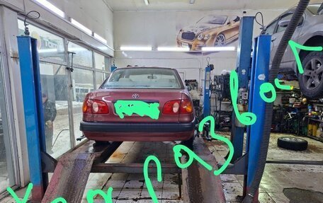 Toyota Corolla, 1998 год, 323 000 рублей, 7 фотография