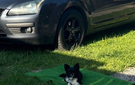 Ford Focus II рестайлинг, 2007 год, 450 000 рублей, 20 фотография