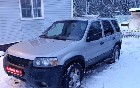 Ford Escape II, 2003 год, 270 000 рублей, 1 фотография