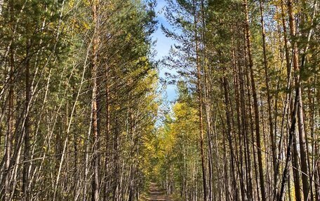 Subaru Outback III, 2005 год, 925 000 рублей, 33 фотография